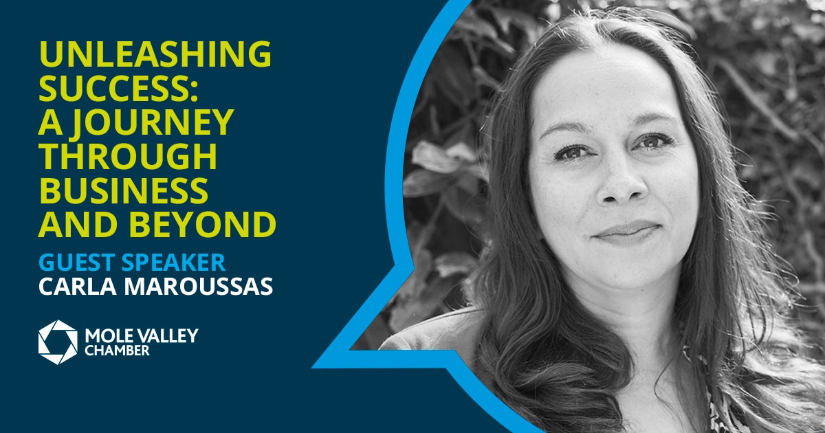 Unleashing success: A journey through business and beyond