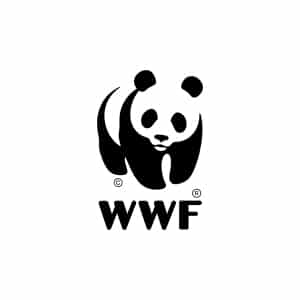 WWF logo