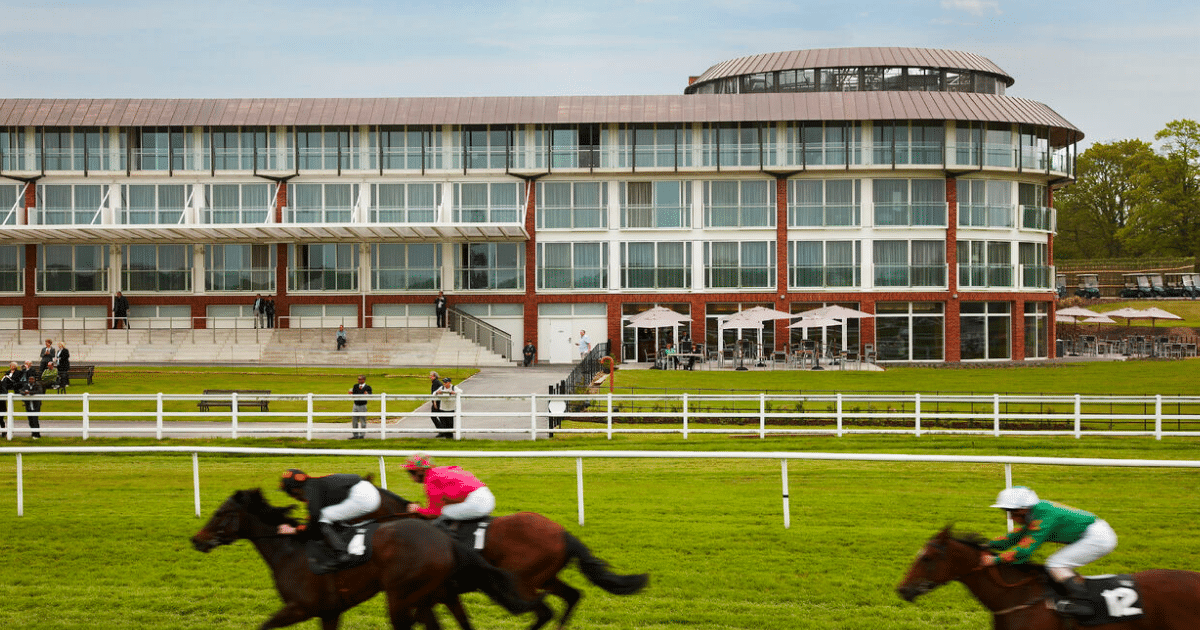Networking Raceday (Gatwick Diamond Business)