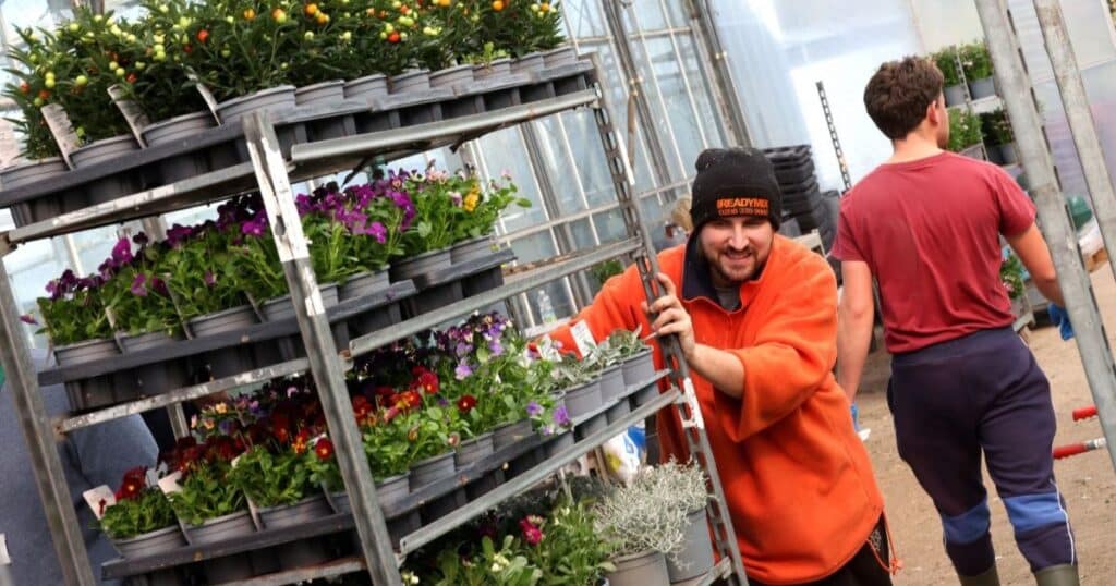 A man in an orange fleece and black hat pushes a trolley full of beautigul pot plants around a busy horticultural site.