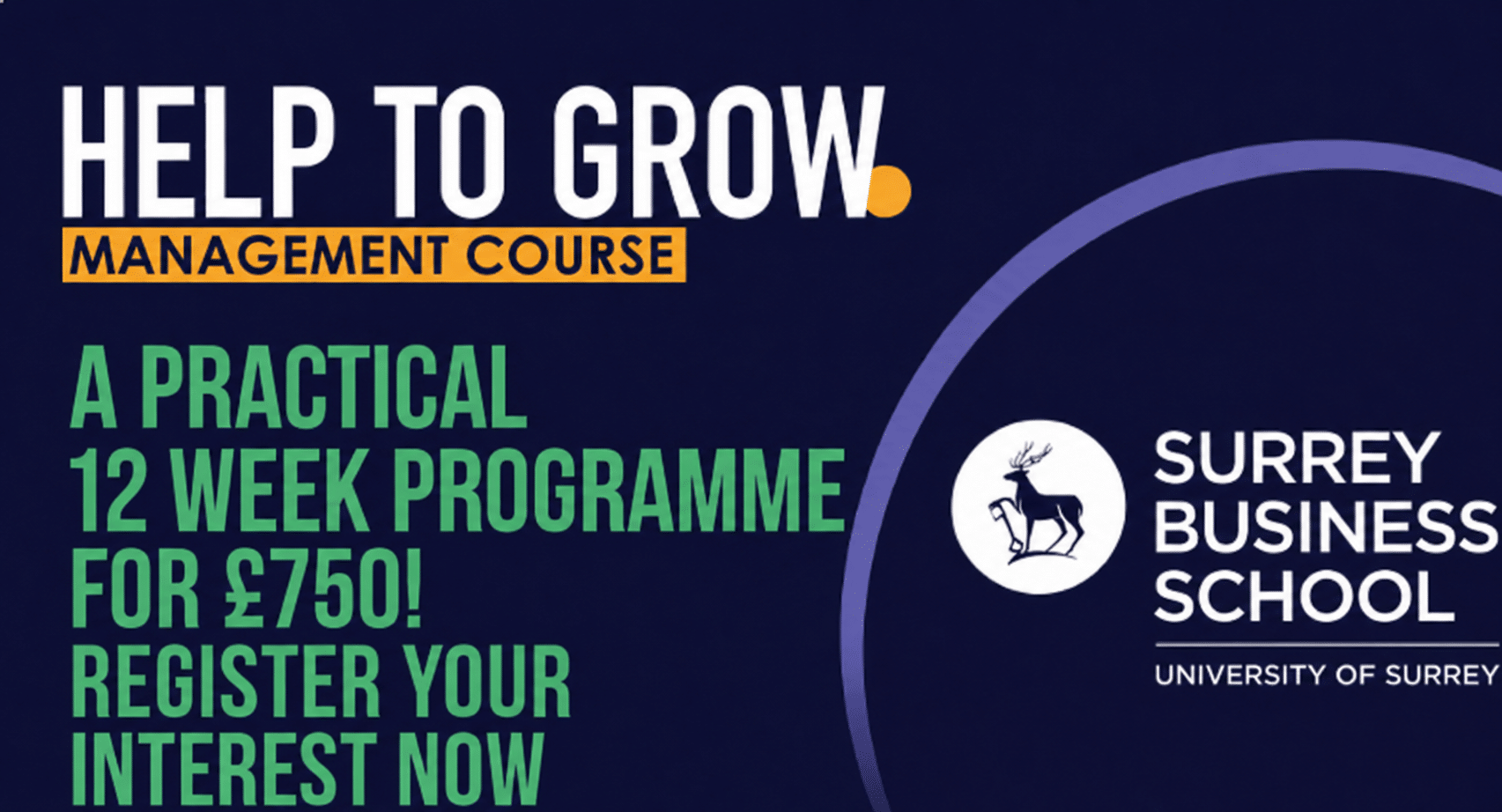 Help to Grow: Management Course